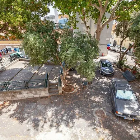 Bright 1bdr Minutes From The Tagus River Apartment *